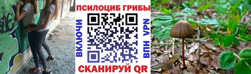 Галлюциногенные грибы Magic Shrooms  наркотики  Крымск 