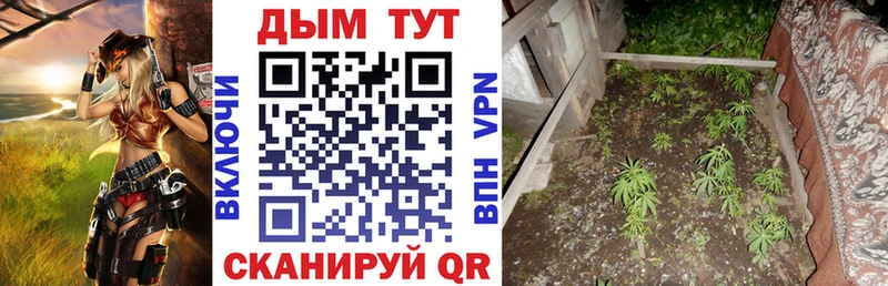 Канабис ГИДРОПОН  Крымск 